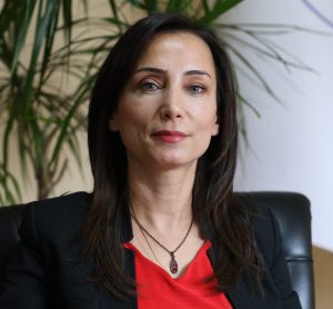 DEM Parti Eşbaşkanı Tülay Hatimoğulları